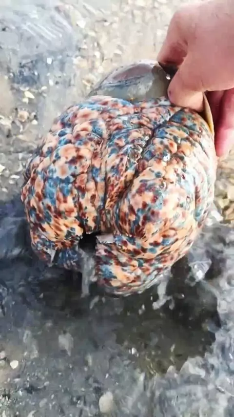 سكس روسيات صغار | Discover
