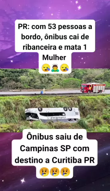 Motorista de ônibus é demitido por usar letreiro com “Palmeiras