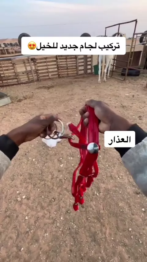 ورعان حلوين iplayer