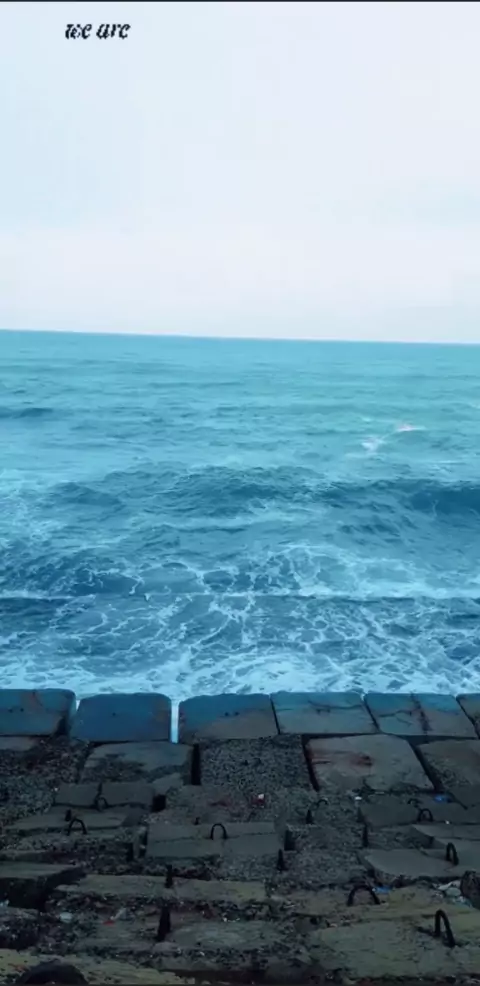 مني فاروق وشيما سكس